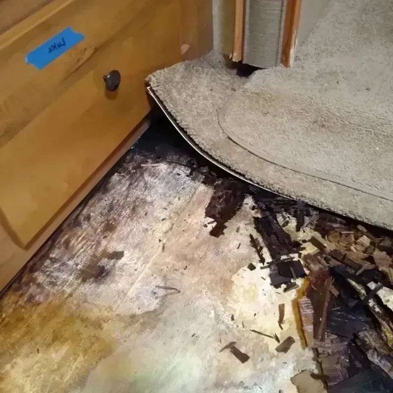 Wood Floor Water Damage in Gadsden County, FL